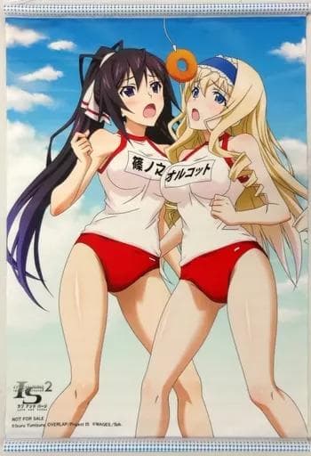 インフィニット・ストラトス 篠ノ之箒＆セシリア・オルコット B2タペストリー
