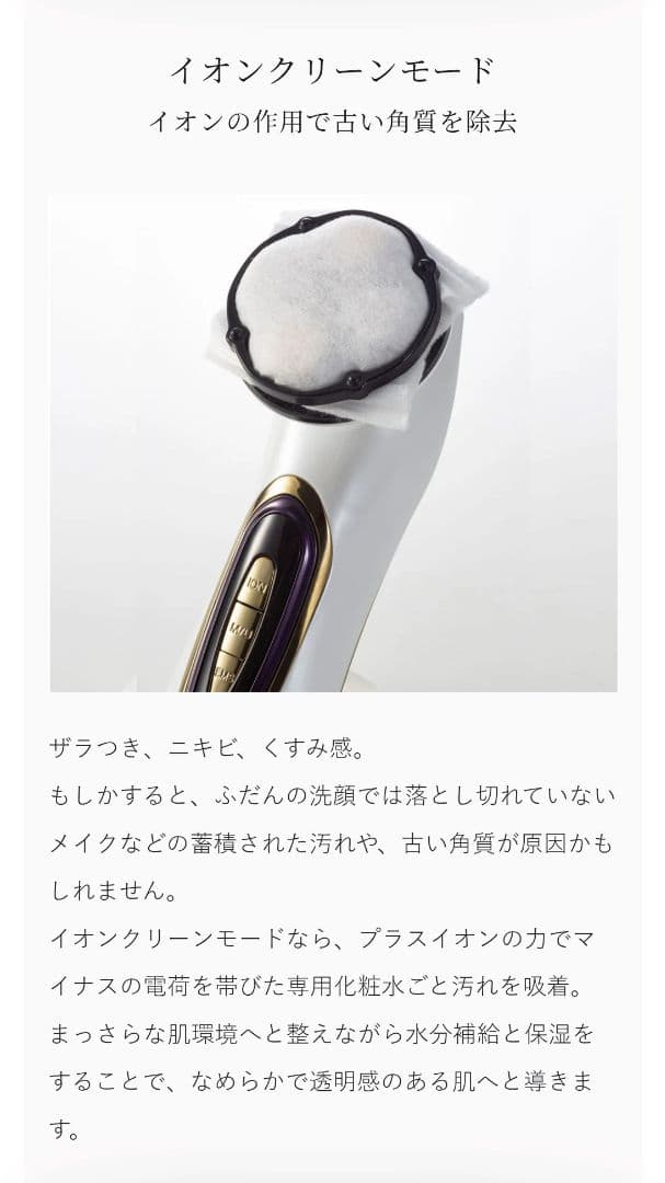 ミスアリーヴォ ザ・レイス　定価154000　公式HPで購入　フォクシー