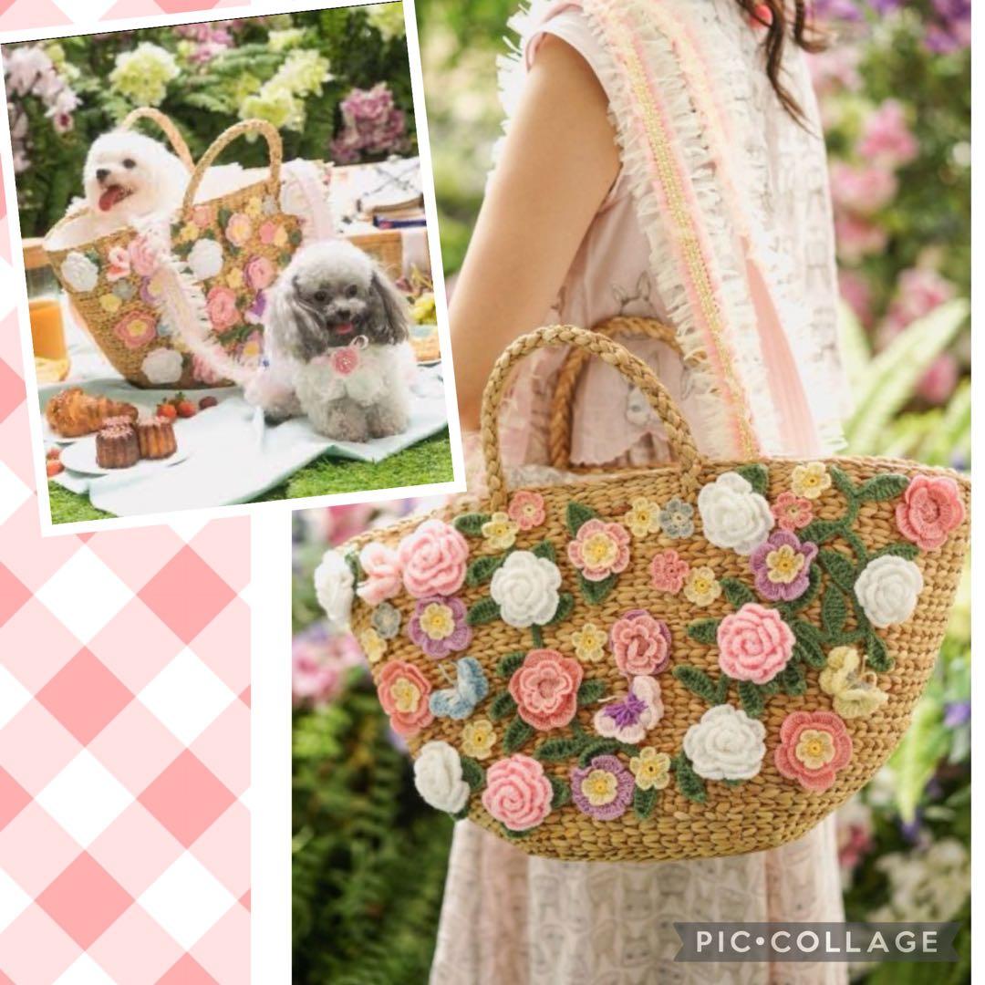 専用　　　ペットアポルテ　Pet a Portre キャリーバッグ