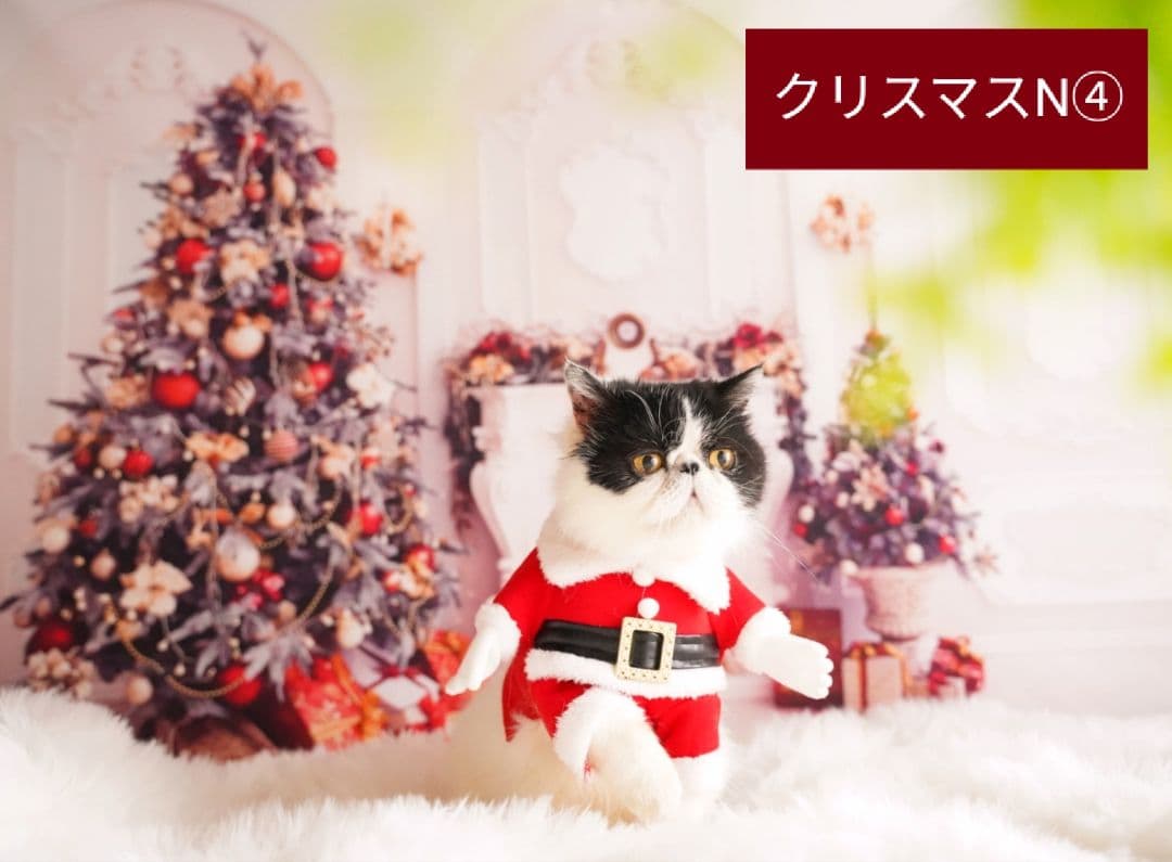 業務用トリミングチョーカー+背景布　クリスマスツリー　ペットサロン　雪　犬