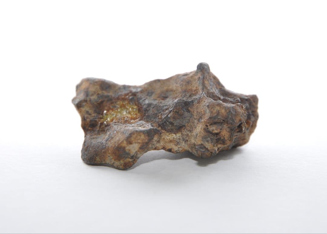 隕石 イミラック パラサイト 36.5g Imilac ⭐