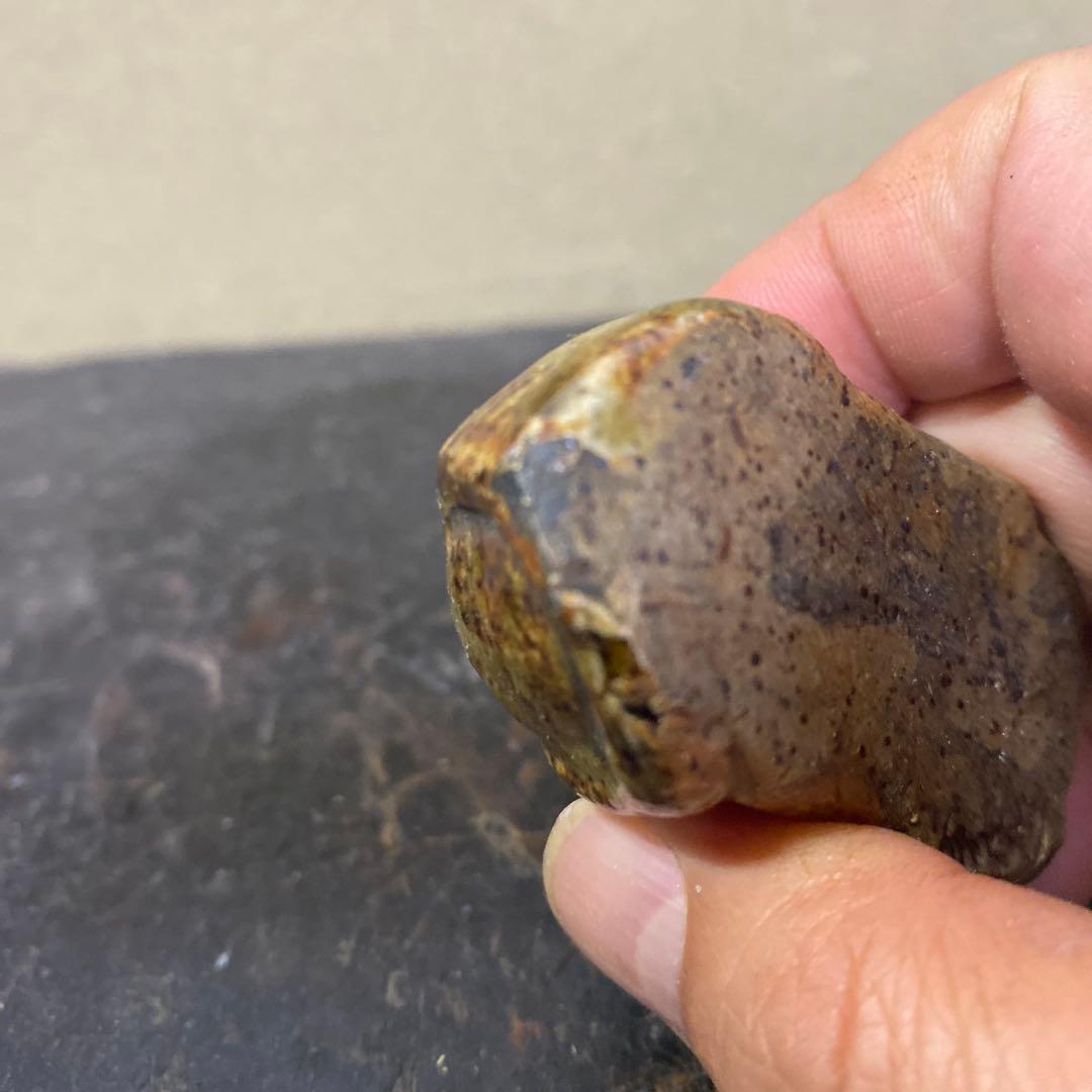 ネコ形 陶器 装飾品