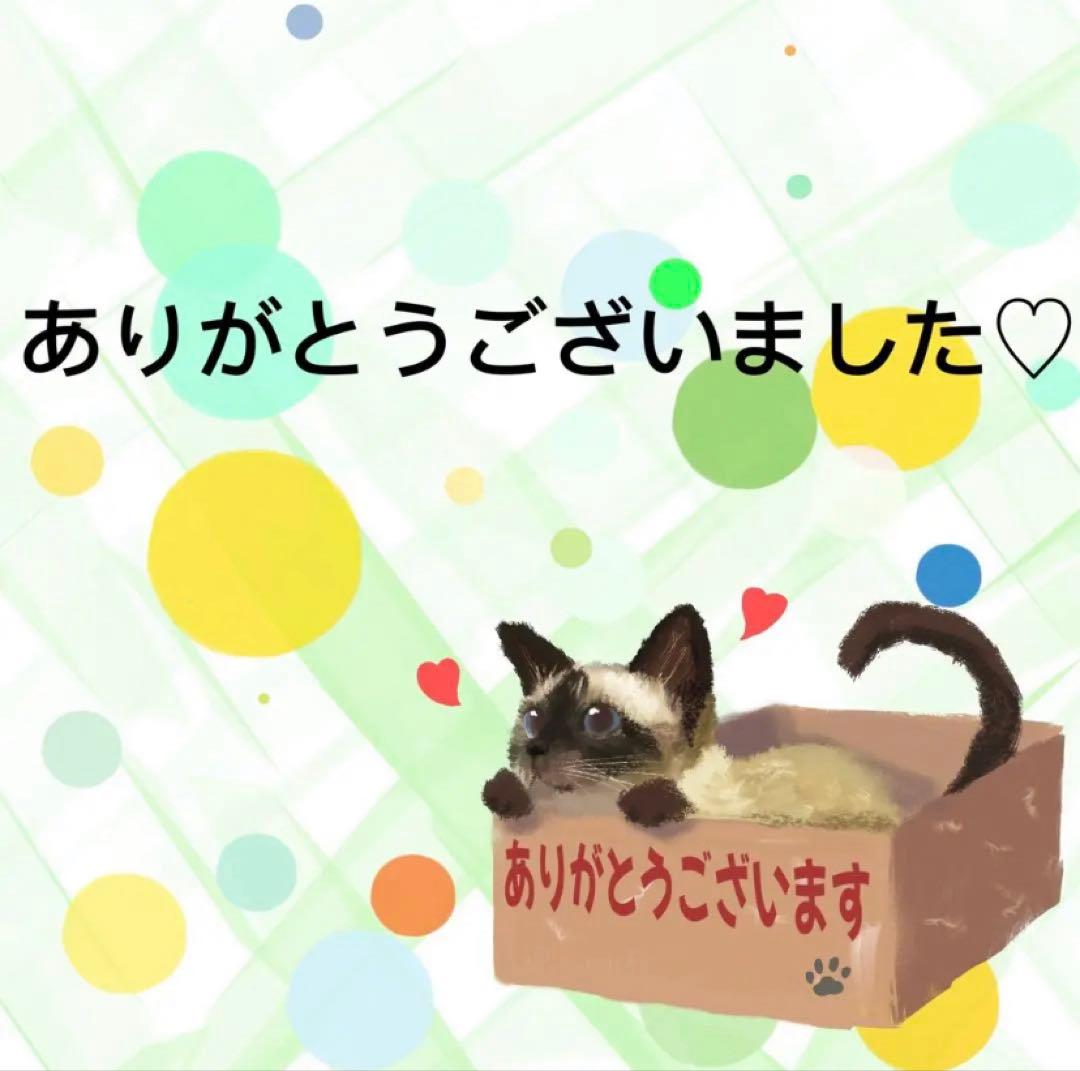 【9309】海外　マステ　中古巻　PETマスキングテープ　自然　背景系