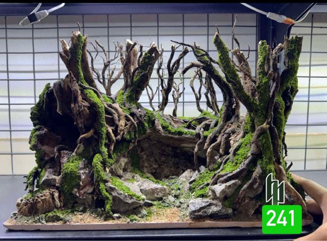 TTD 241【⭐︎ おがわ様⭐︎】【美品・数量限定】