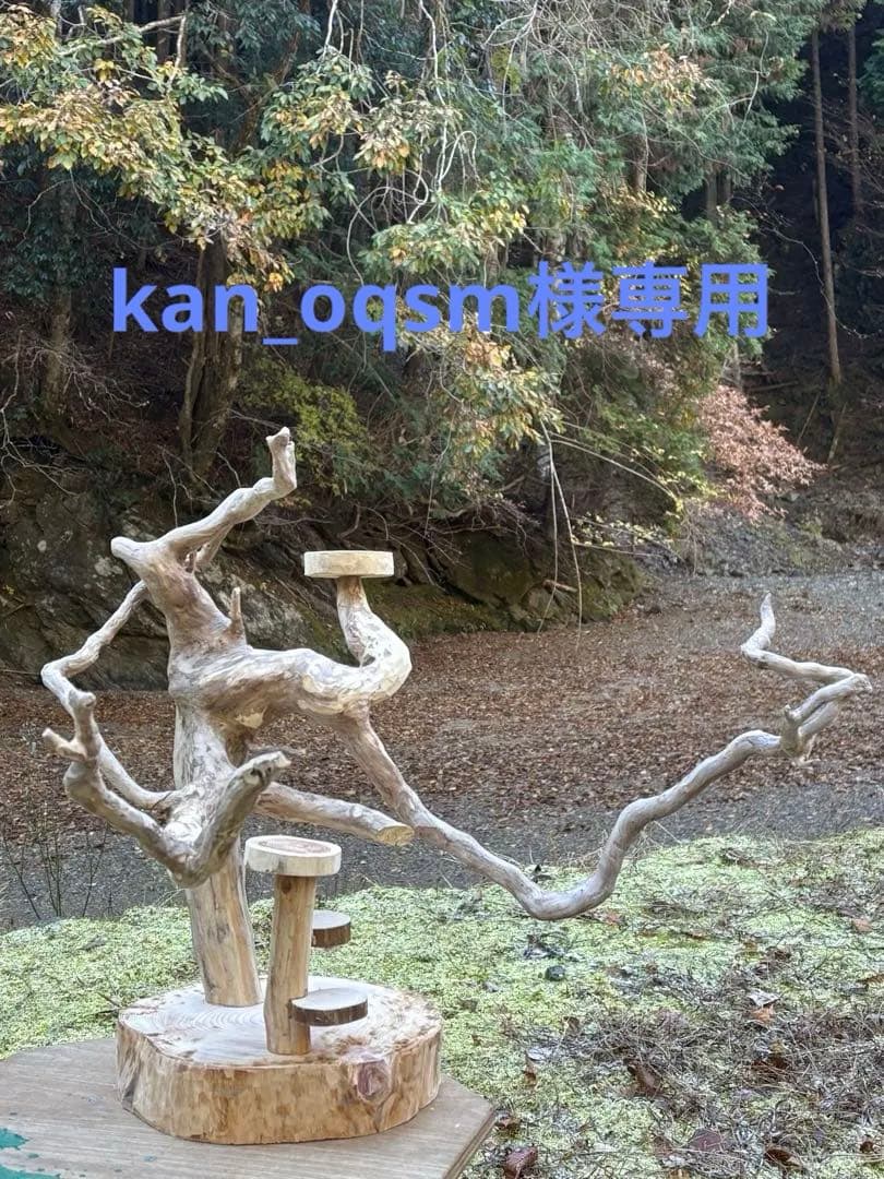 ハンドメイド　バードアスレチック　バードジム