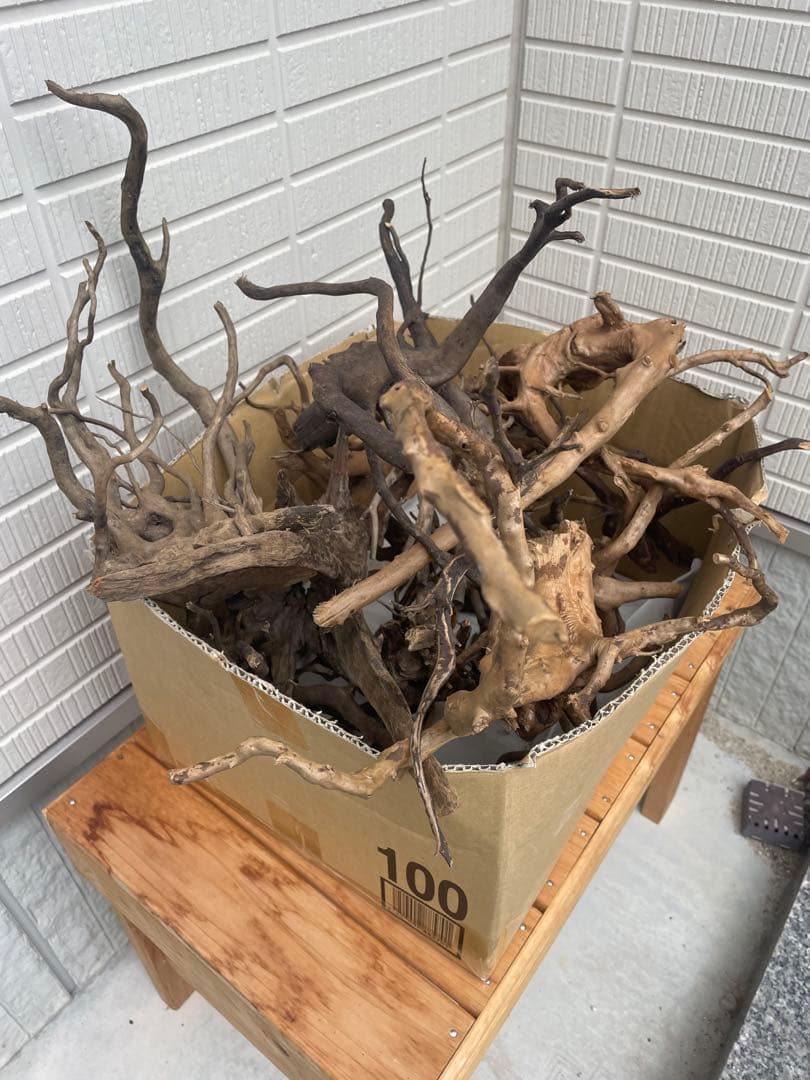 流木　セット