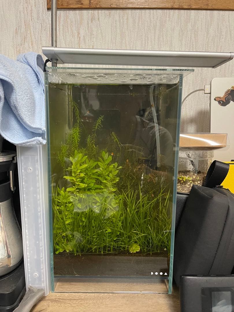 dooa ネオグラスエア 20×20×35 ガラスフタ、RGBソルスタンド