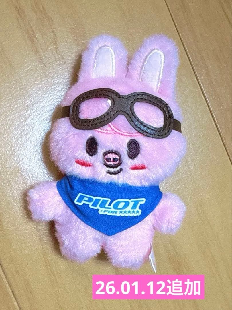skzoo チャンビン DWAEKKI トェッキ まとめ売り