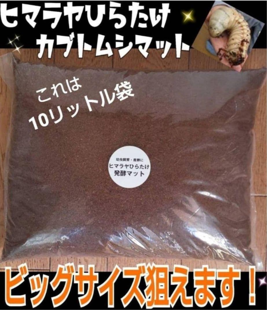カブトムシ幼虫が大きくなる！発酵マット【たっぷり100リットル】雑虫わかない！