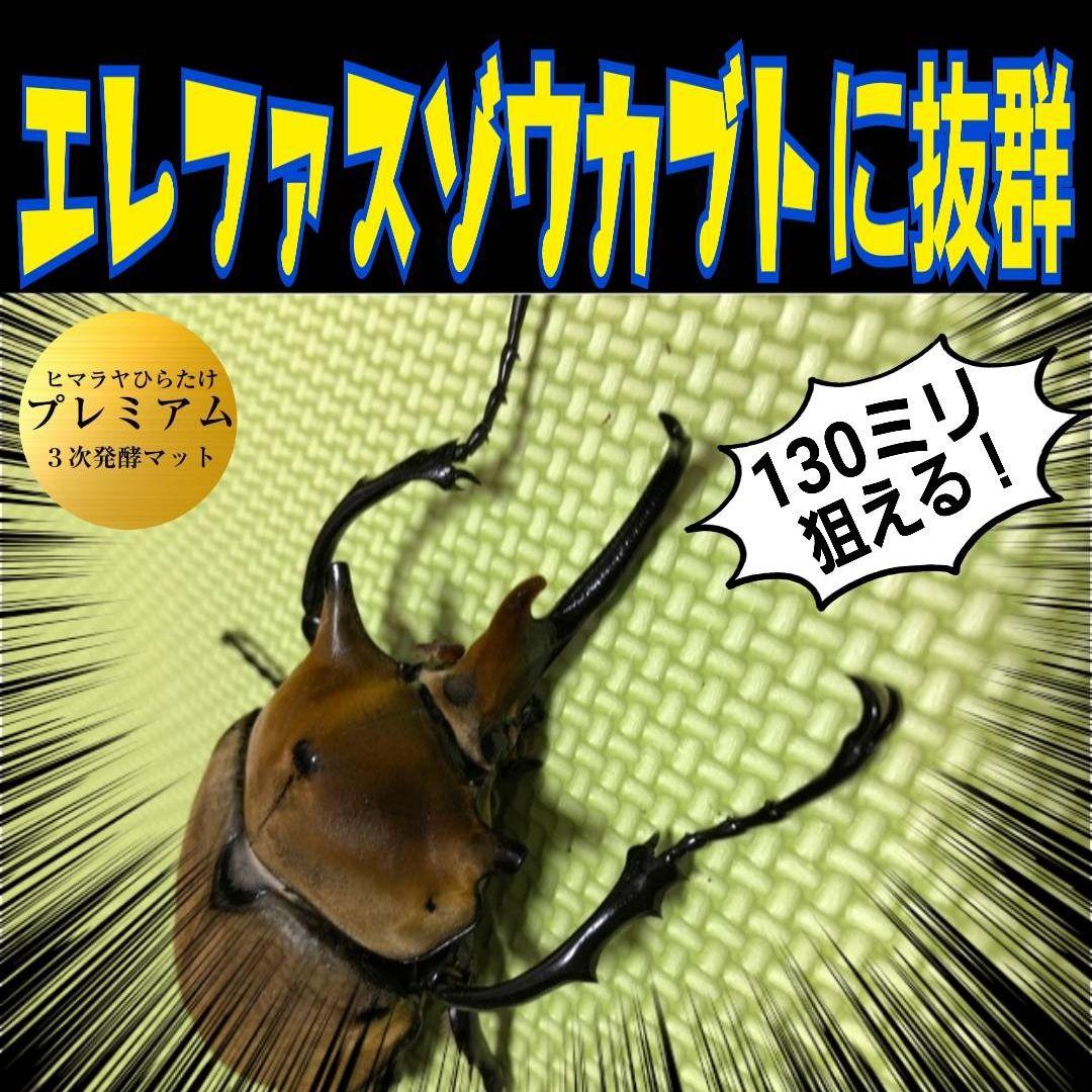 特選！プレミアム3次発酵カブトムシマット【40L】トレハロース強化配合！産卵にも