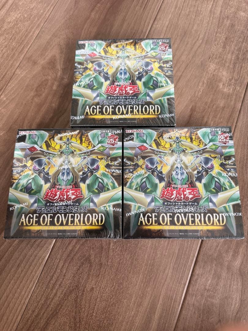 遊戯王OCG エイジ・オブ・オーバーロード　アジア