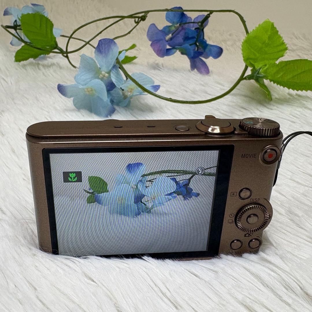 SONY カメラ　DSC-WX300 充電器　ブラウン　コンデジ　動作品