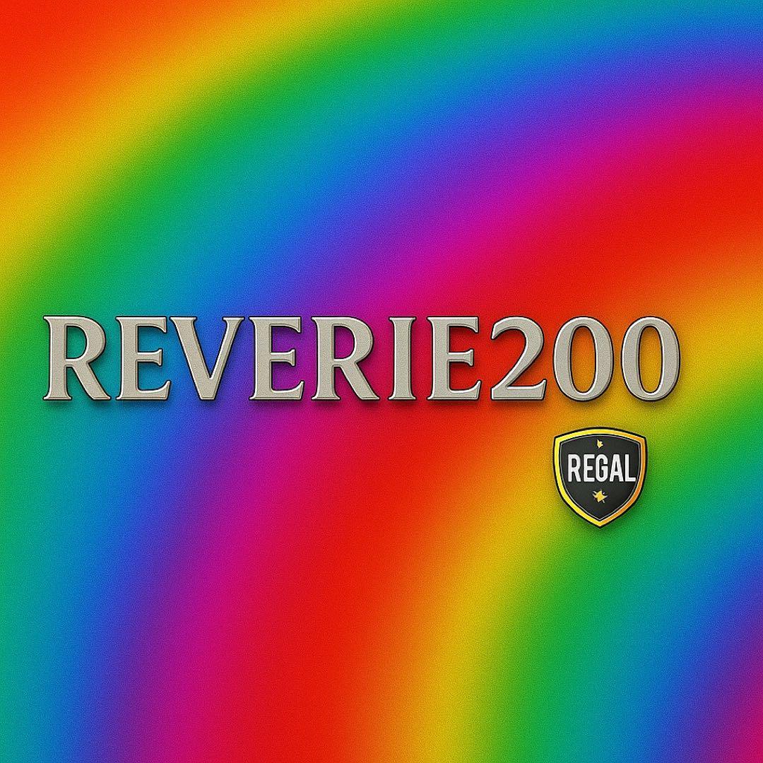 REVERIE 200μ ５枚【容量アップしました‼️】