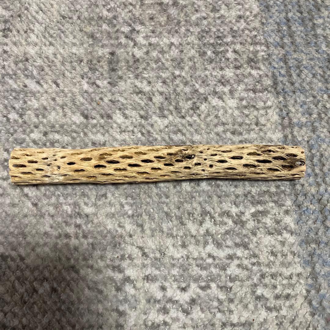 カクタスパーチの作成依頼・在庫確認・お問い合わせ専用ページ