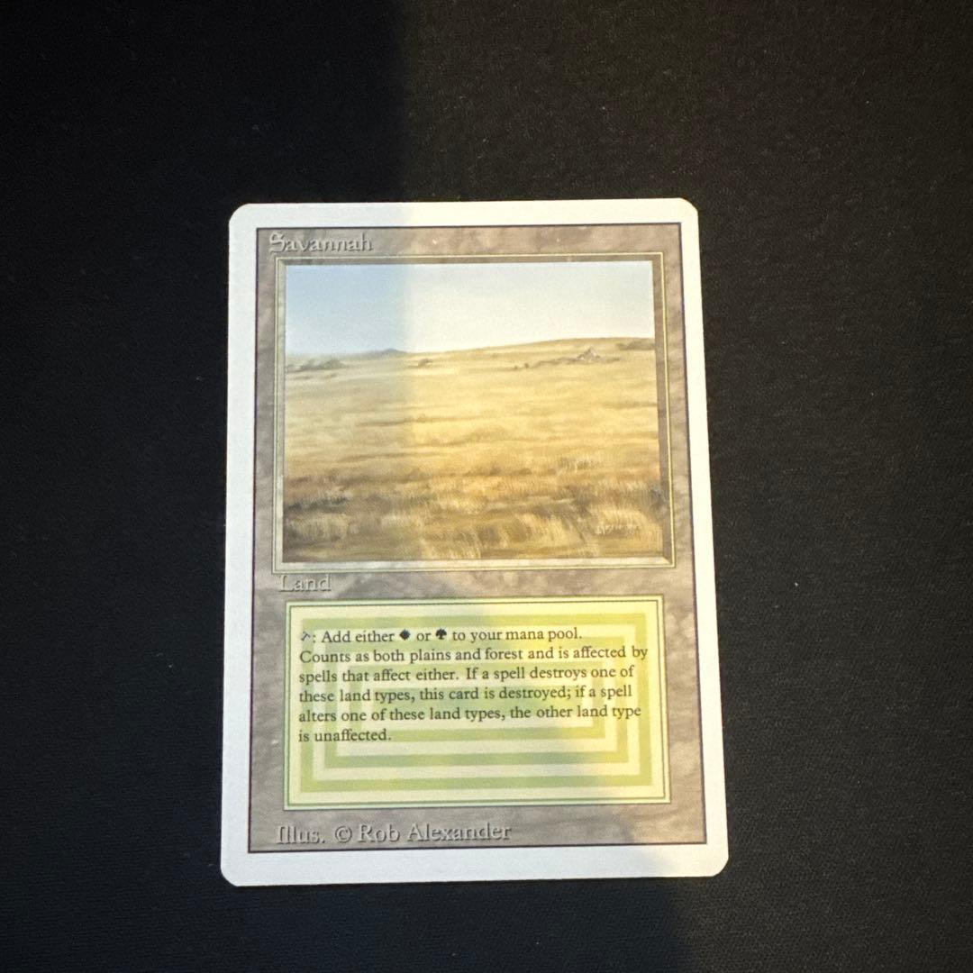 Savannah 3ED 美品