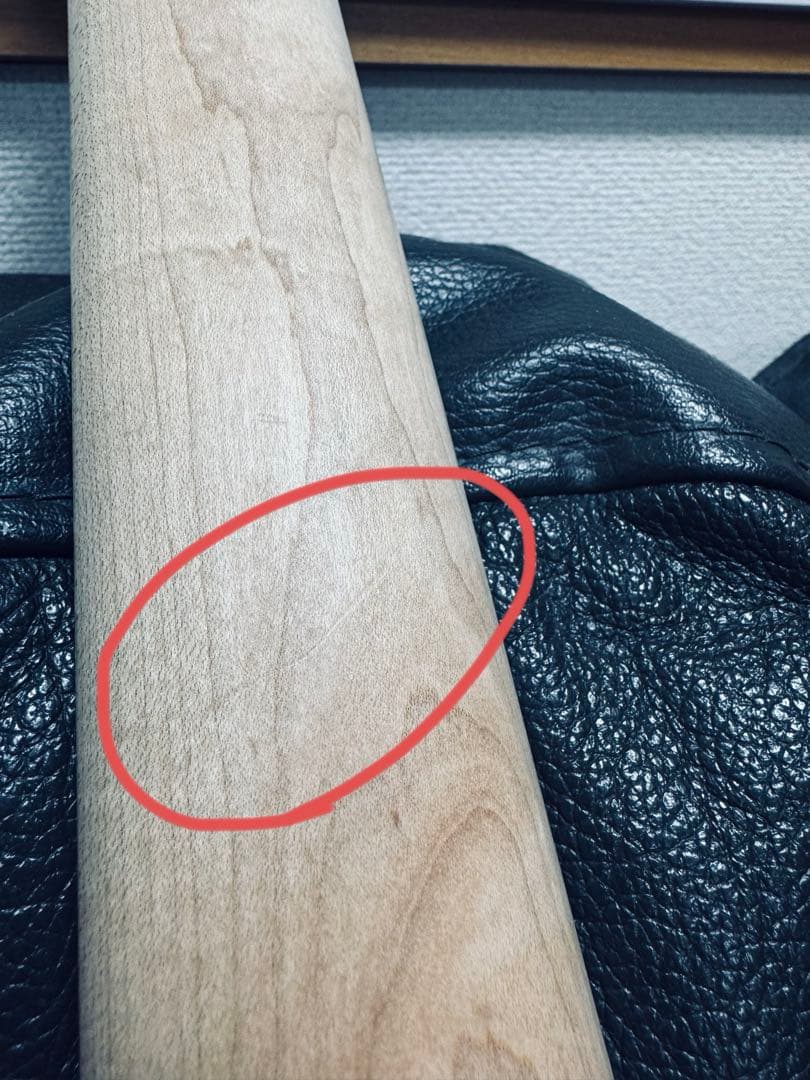 Charvel steve vai Green Meanie風MOD