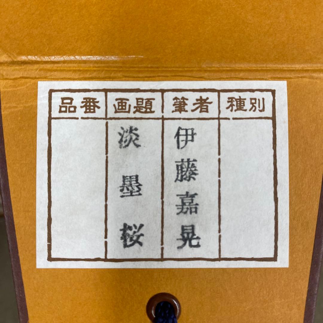 美品 掛け軸 伊藤嘉晃作 淡墨桜図 さくら 縁起物 美術年鑑掲載