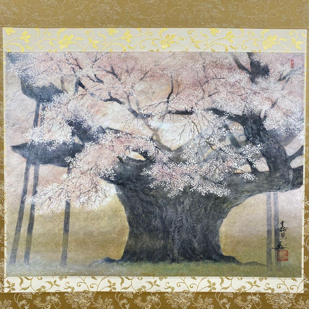 美品 掛け軸 伊藤嘉晃作 淡墨桜図 さくら 縁起物 美術年鑑掲載