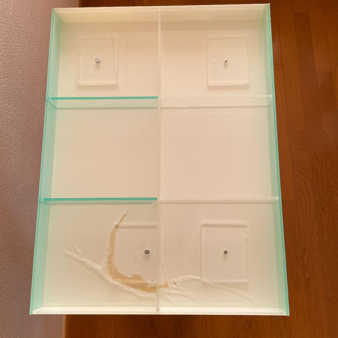 鳥さん用のアスレチックジム