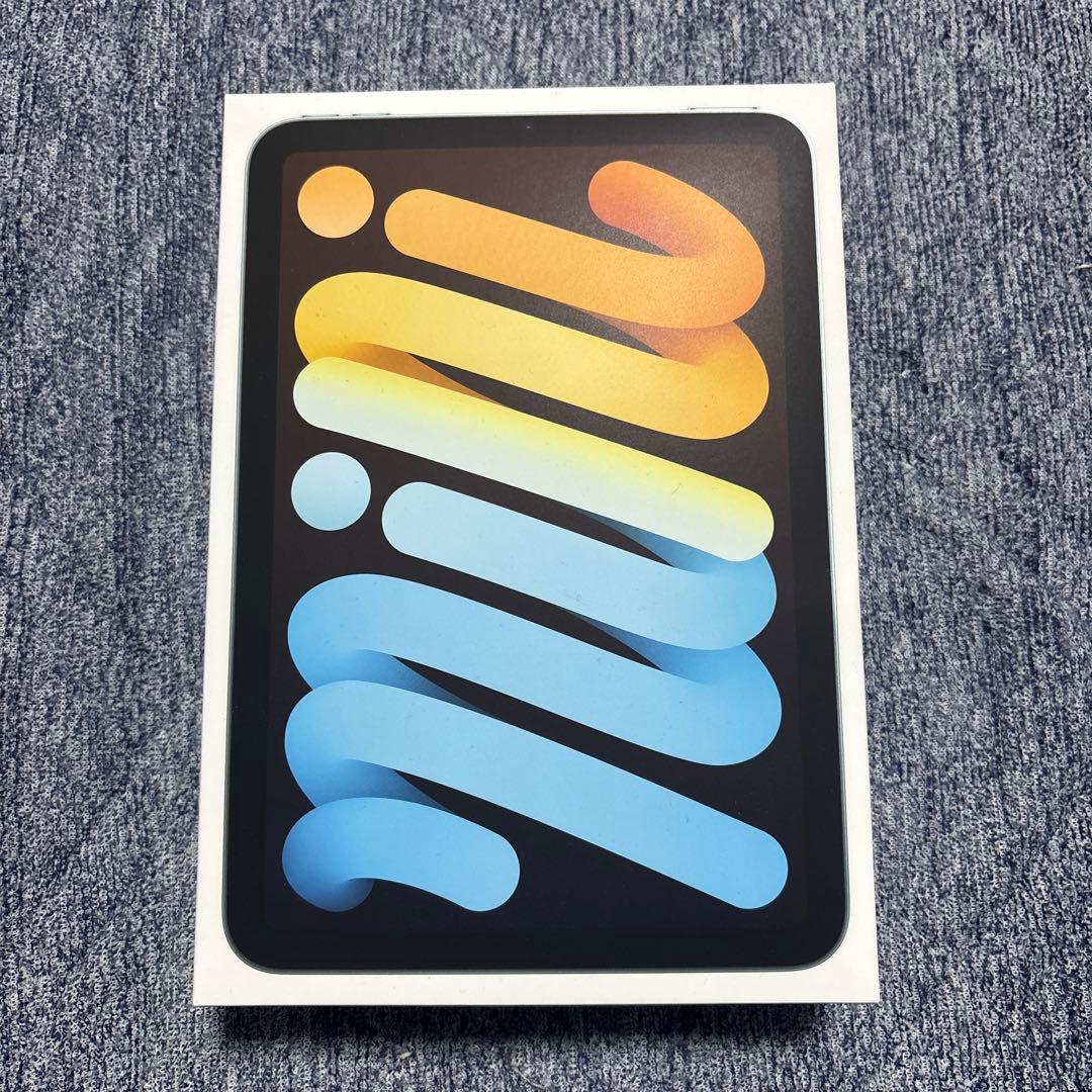 Apple iPad mini A17Pro ブルー　充放電22回