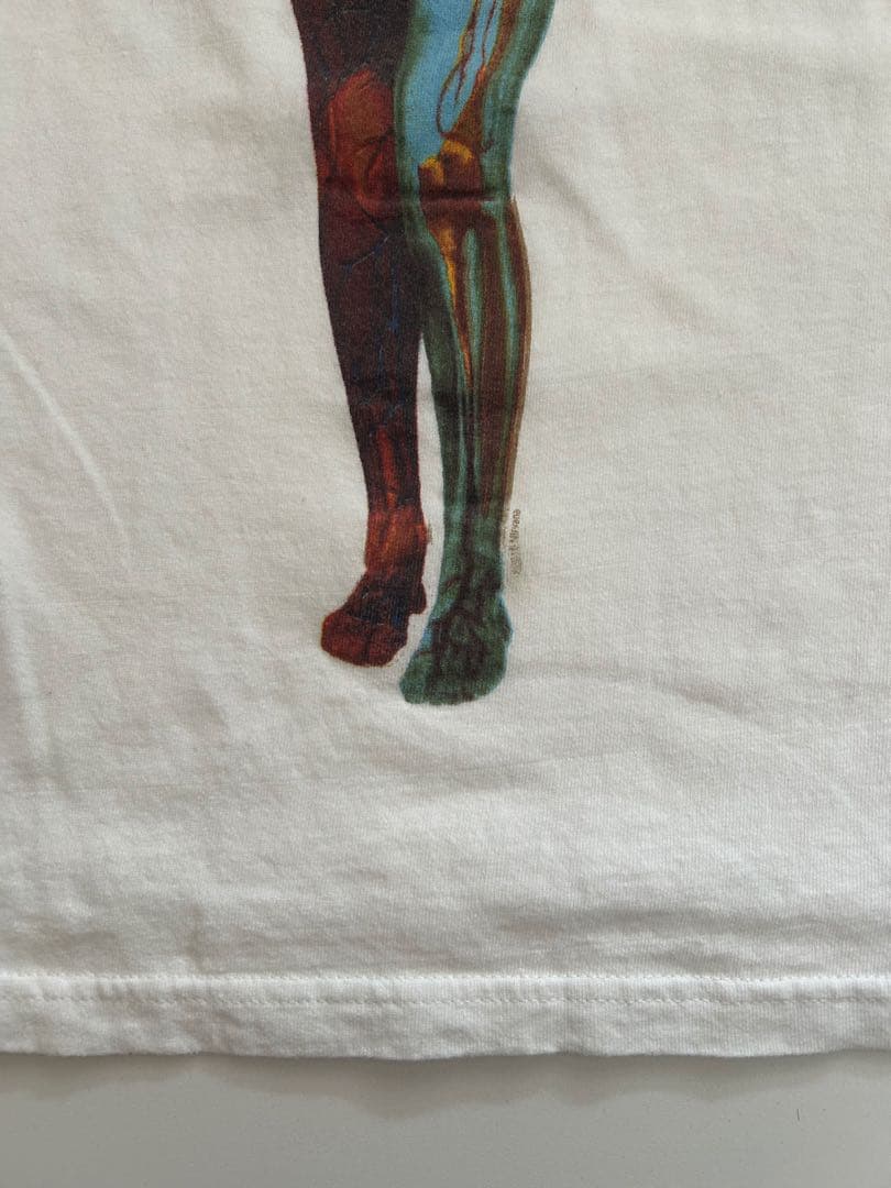 NIRVANA IN UTERO Tee サイズL