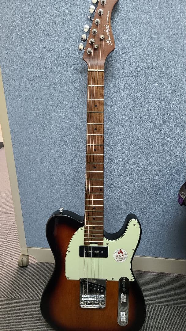 Bacchus　TACTICS-STD/RSM 3TS 　テレキャス