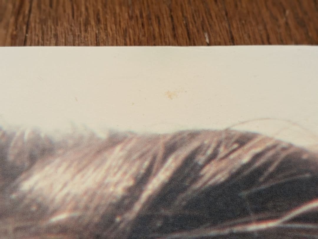 【B1特大ポスター】ZARD「forever you」非売品