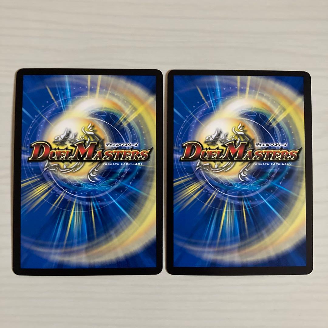 メルカリ便 聖霊超王 Hアルカディアス 秘 シク シークレット 2枚セット