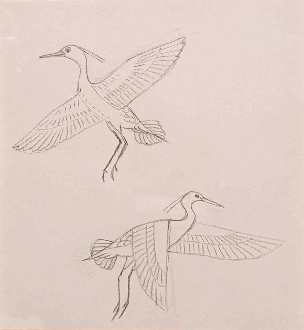 ライオン　杉山寧「鷺」素描　杉山璚子鑑定シール