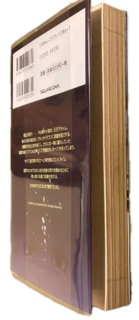 ドラッグオンドラグーン ストーリーサイド　小説