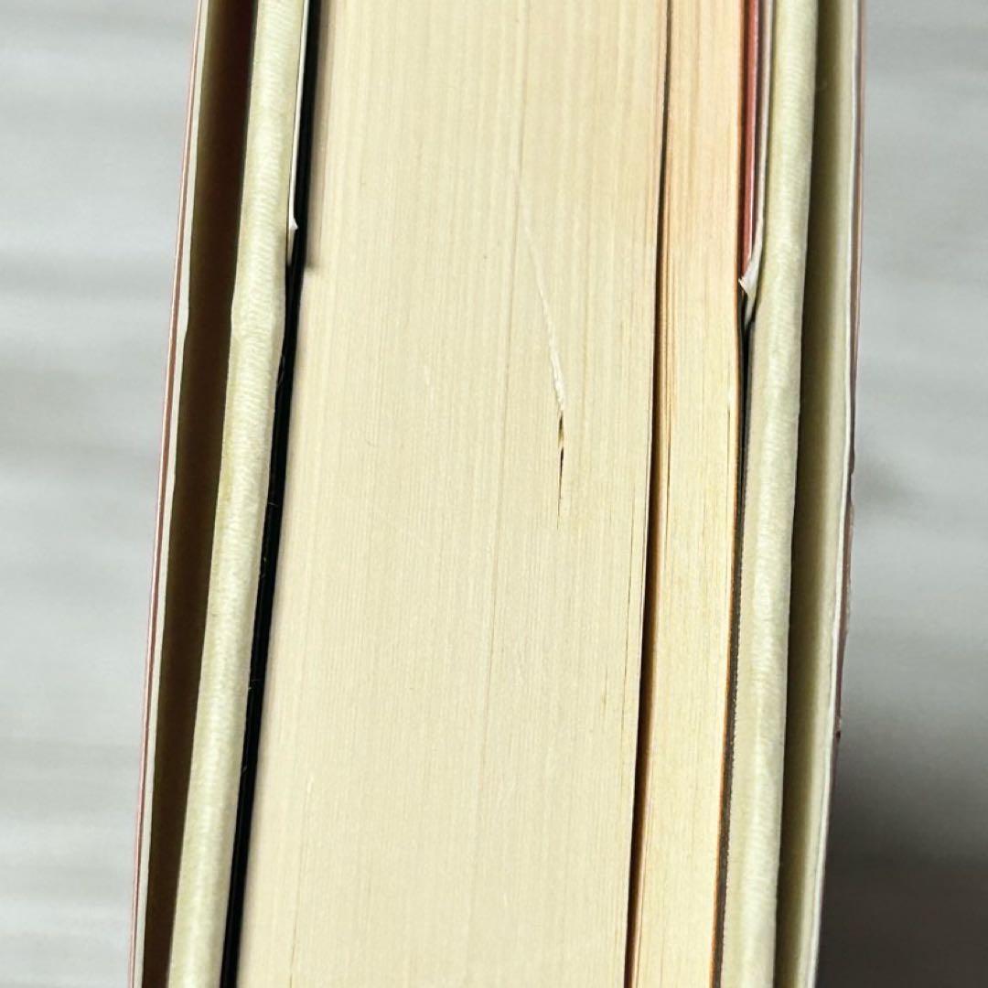 【メルカリ便】円の支配者 : 誰が日本経済を崩壊させたのか　リチャード　希少