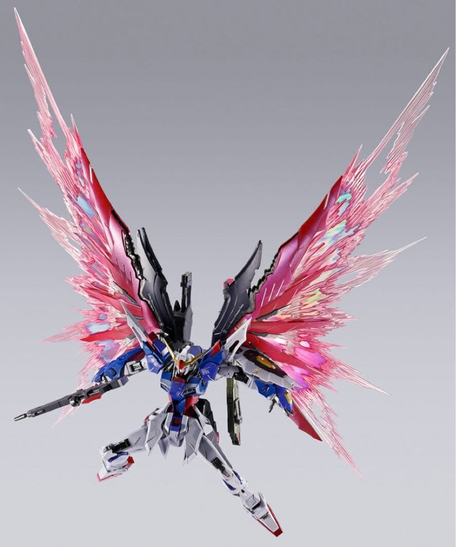 ［新品］デスティニーL BUILD FESTIVAL 2024]