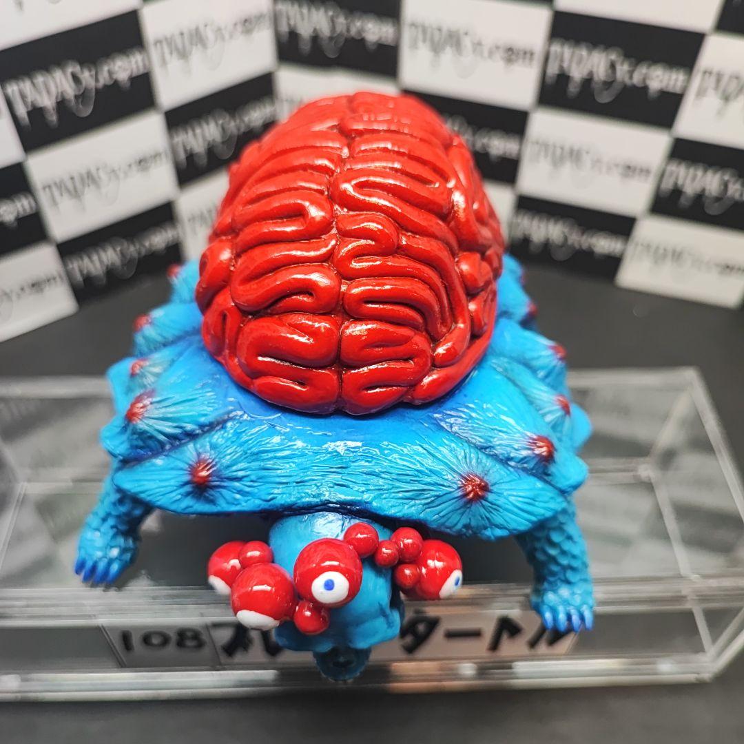 108ブレインタートル