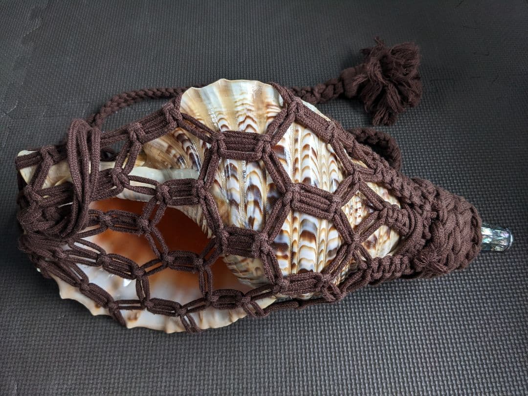 修験法螺貝　43cm　※購入前コメント必須