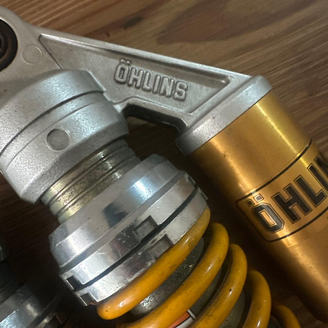 オーリンズ　ヤマリンズ