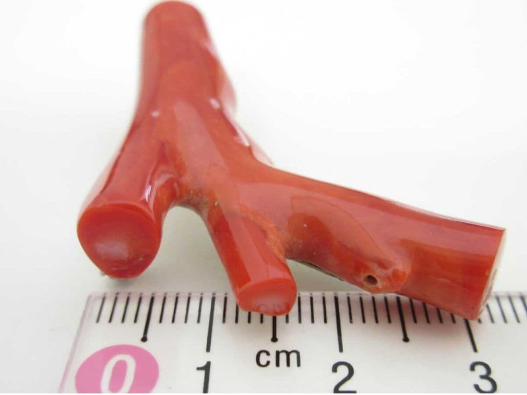 血赤珊瑚 サンゴ 9.7g ブローチ 本珊瑚 h49a