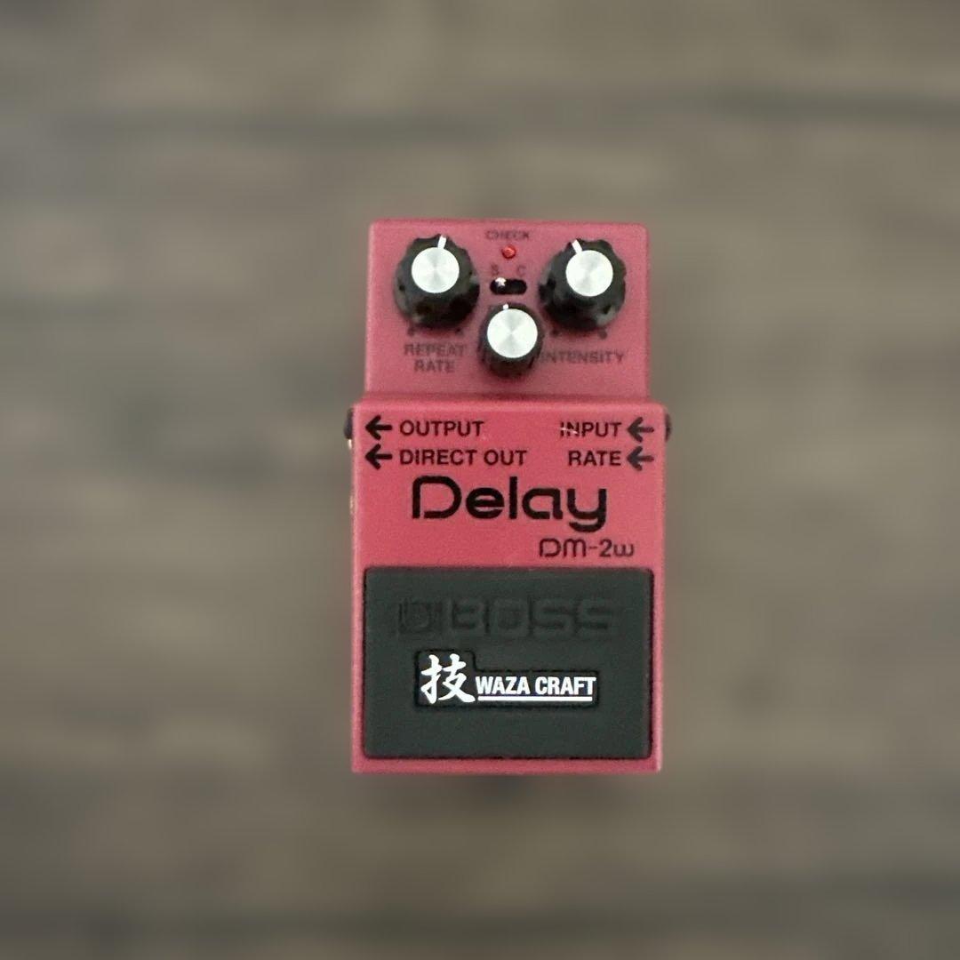 BOSS DM-2w ディレイエフェクター　※背面パーツ変更あり