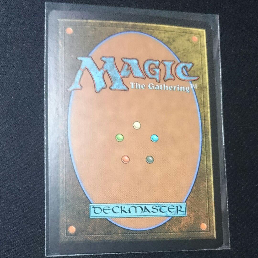 MTG 日本語 foil 森エイトグ 8版