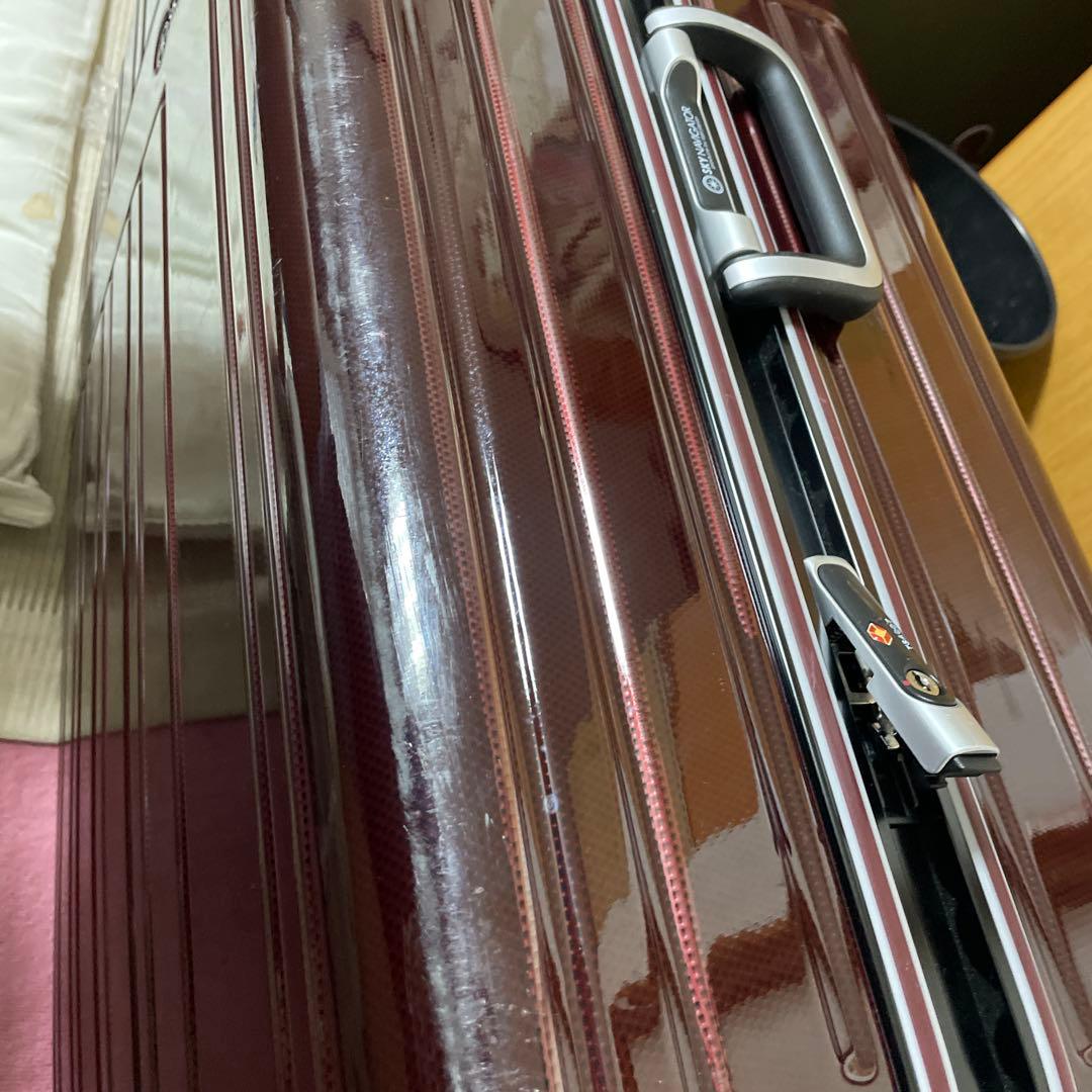 早い者勝ち　大型 Skynavigator スカイナビゲーター キャリーケース