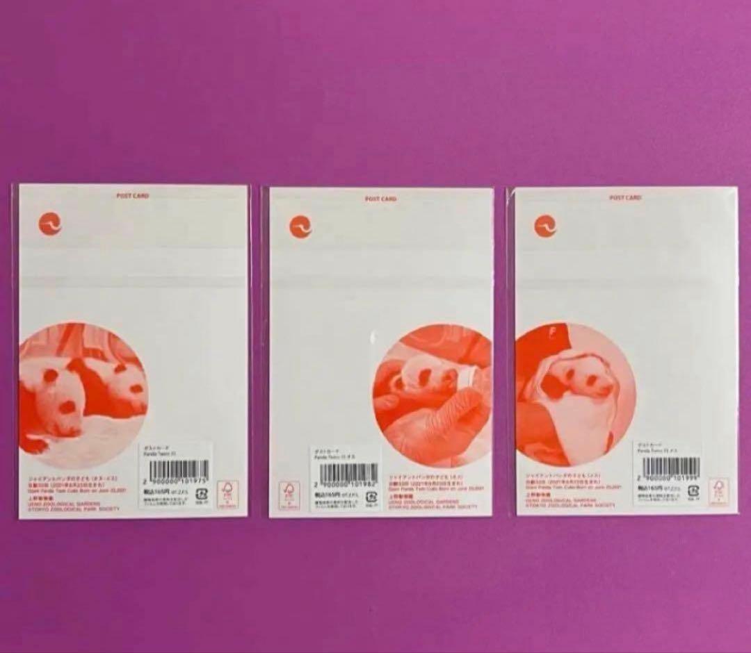 恩賜上野動物園＊シャオシャオ＆レイレイ クリアファイルとポストカードのセット