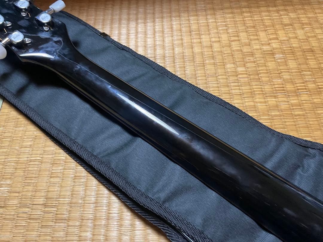 Italia Guitars Mondial ビザール風