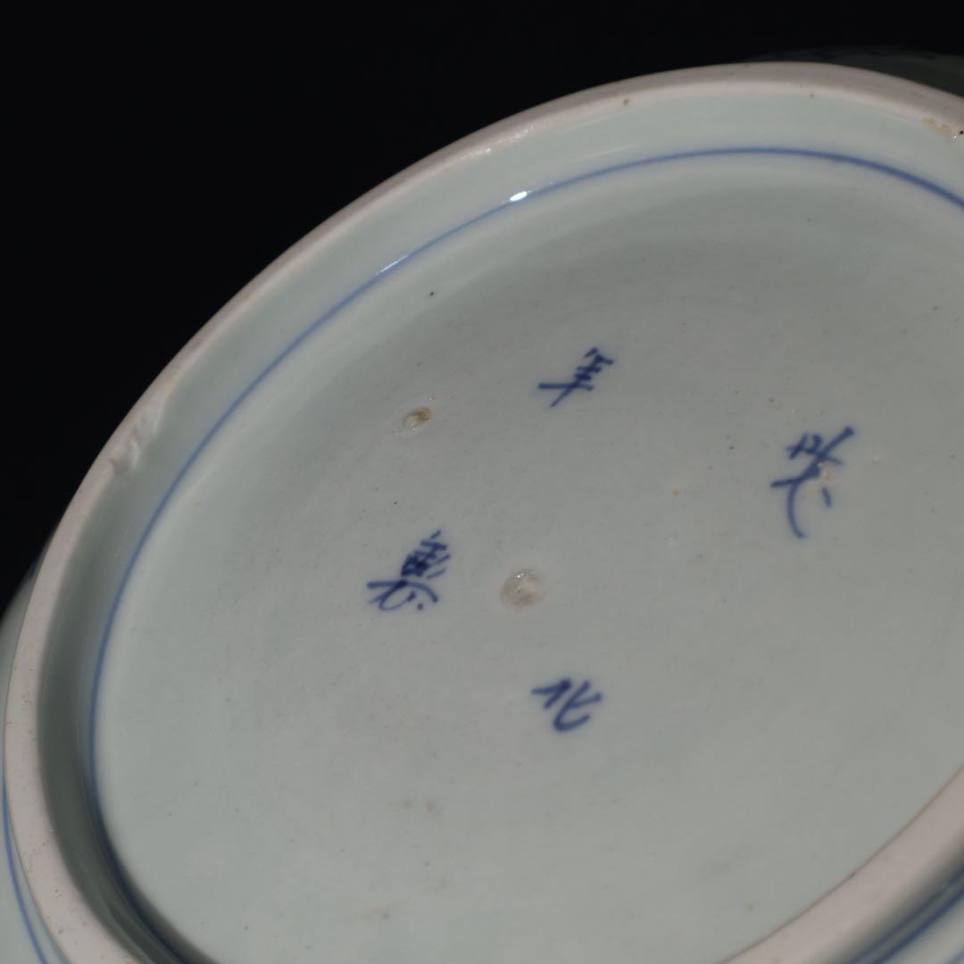 伊万里染付花鳥図七寸皿　∅21㎝　骨董　古伊万里　R0027w2B3