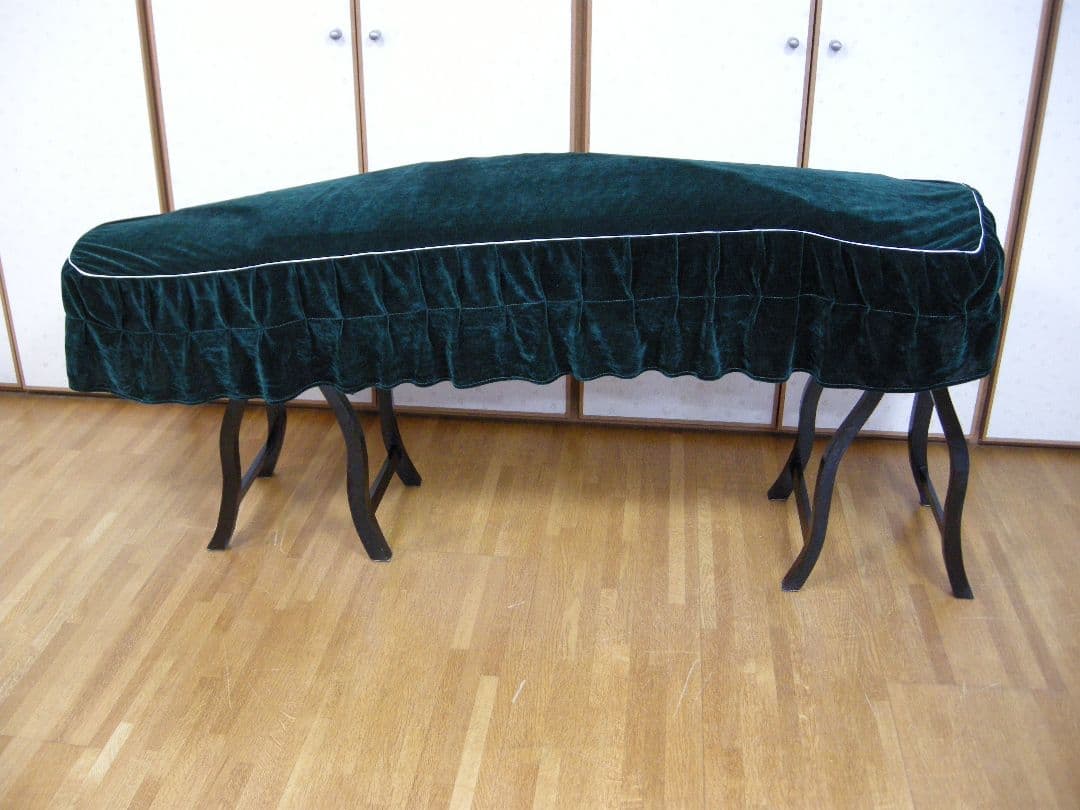 中国21弦古筝 王天一(国家一級作曲家)名入り