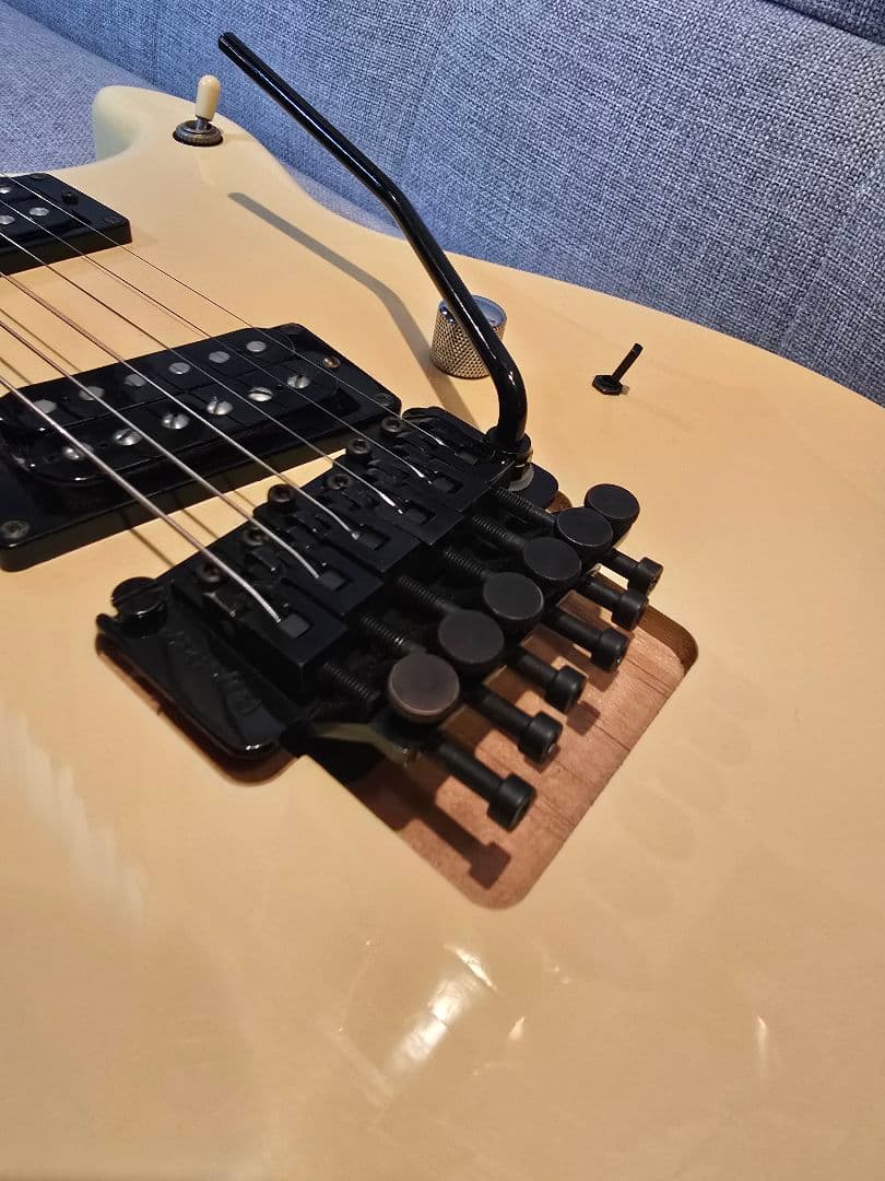 ESP カスタムオーダー エレキギター