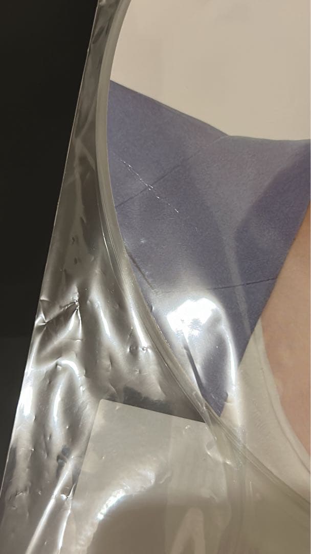 エスクプス うちわ まとめ売り ソウルコン ケレン ペンミ SEVENTEEN