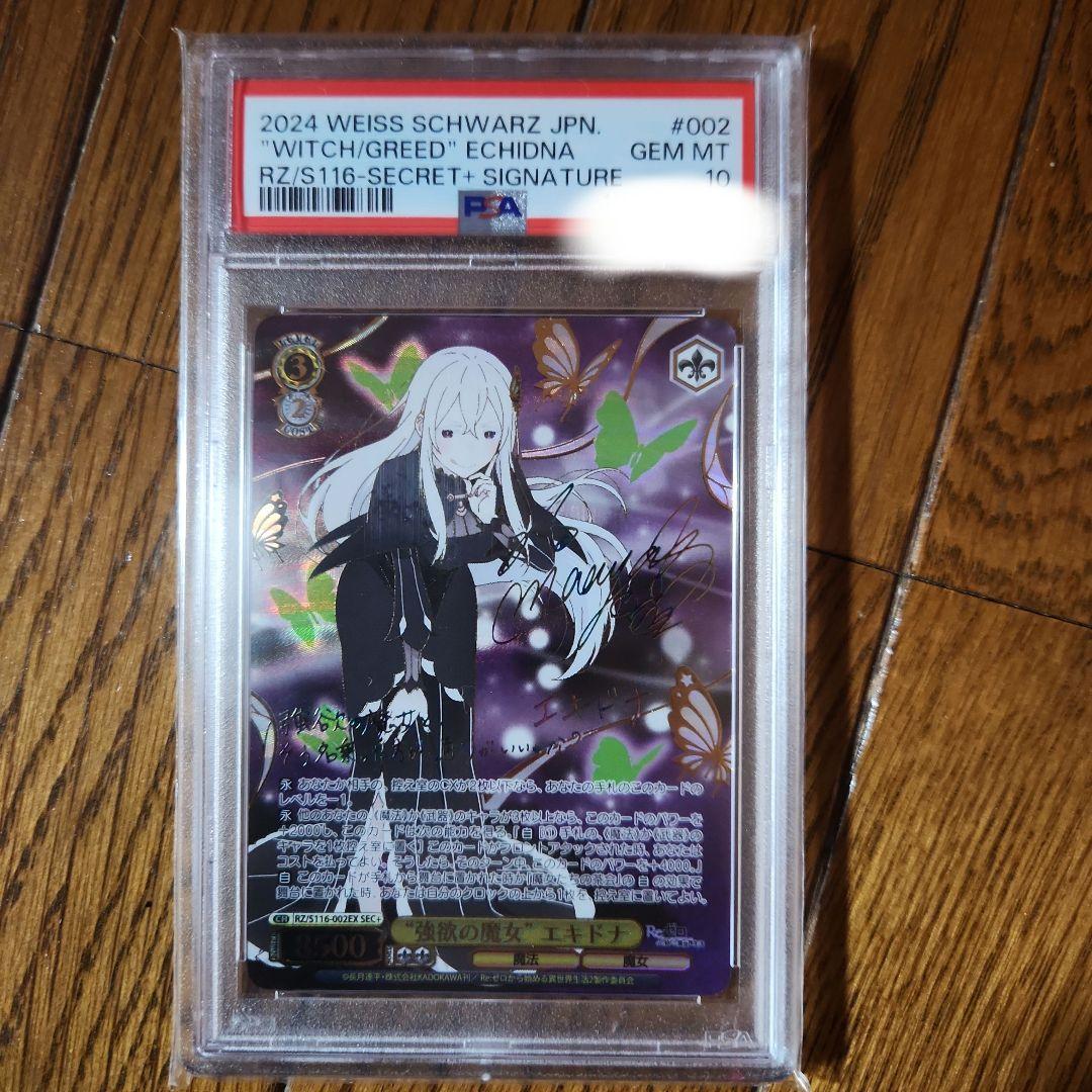 エキドナsp psa10