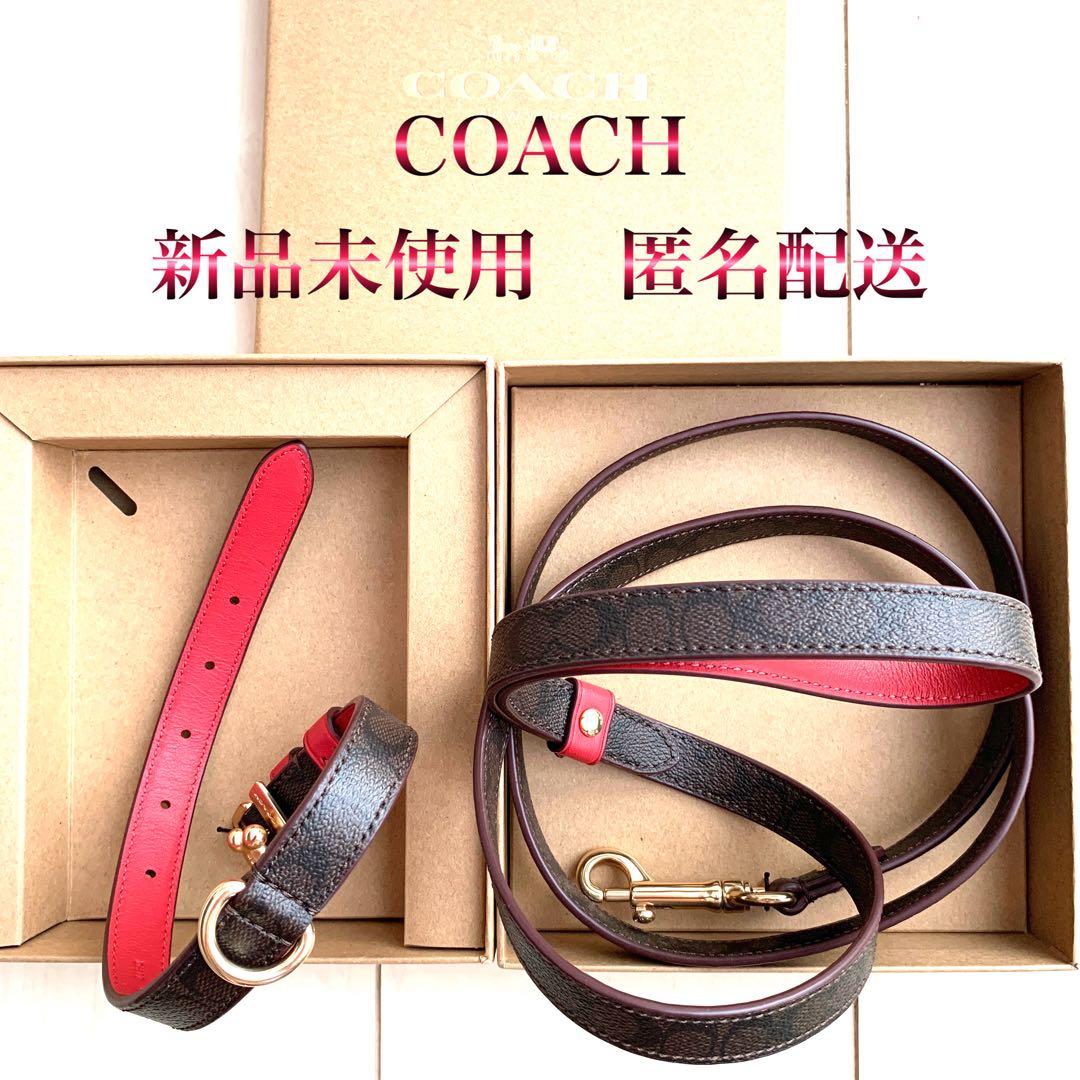 COACH コーチ　シグネチャー　赤　首輪　ドッグ　リード 小型犬　犬　ペット