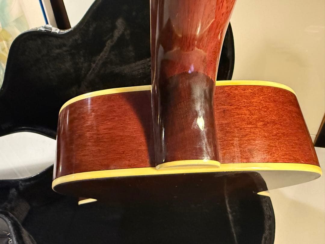 Ibanez アコースティックギター ハードケース付