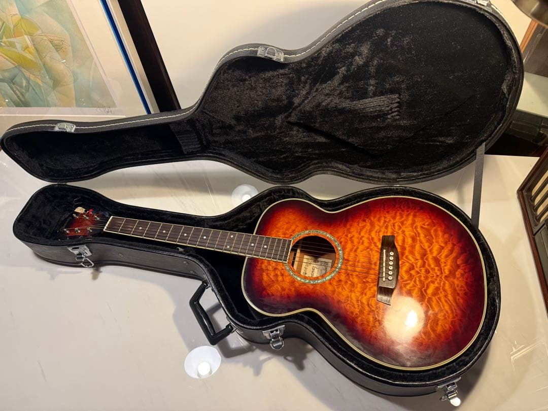 Ibanez アコースティックギター ハードケース付