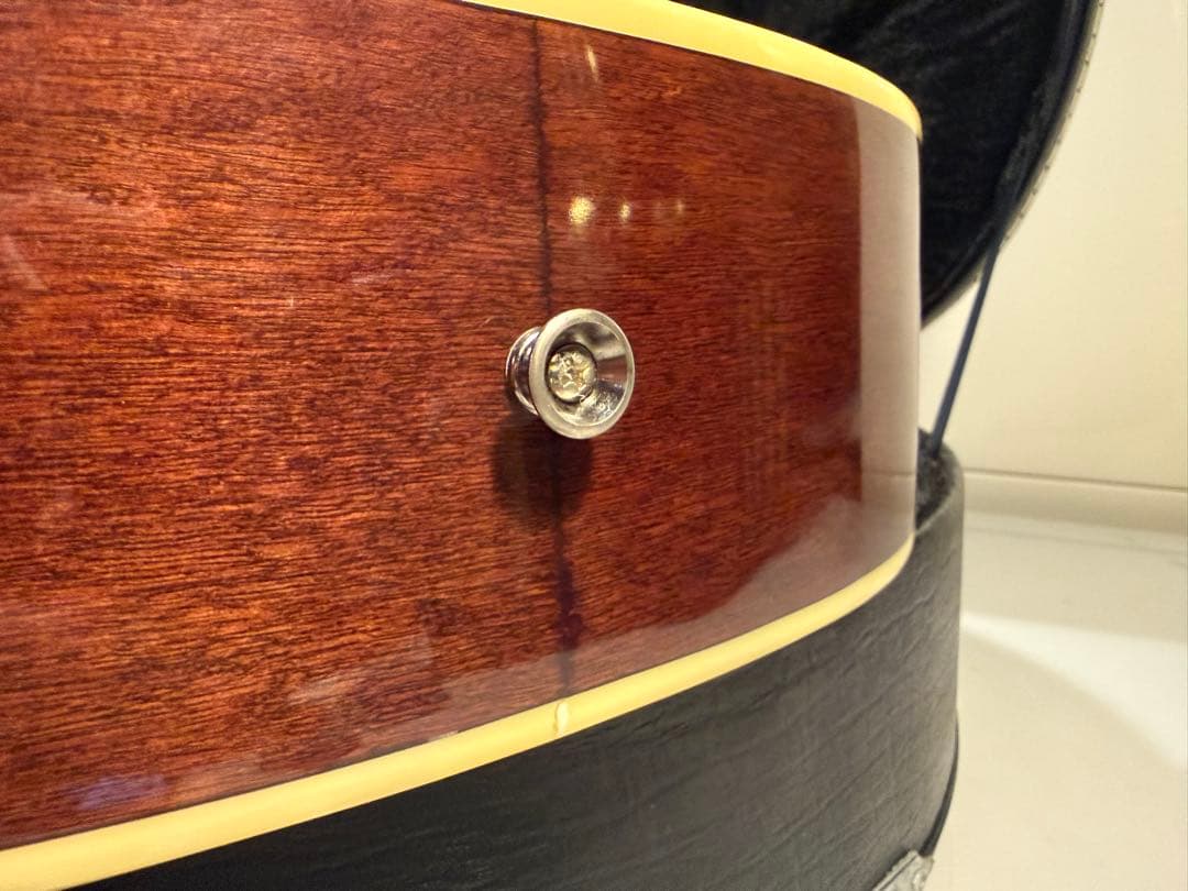 Ibanez アコースティックギター ハードケース付